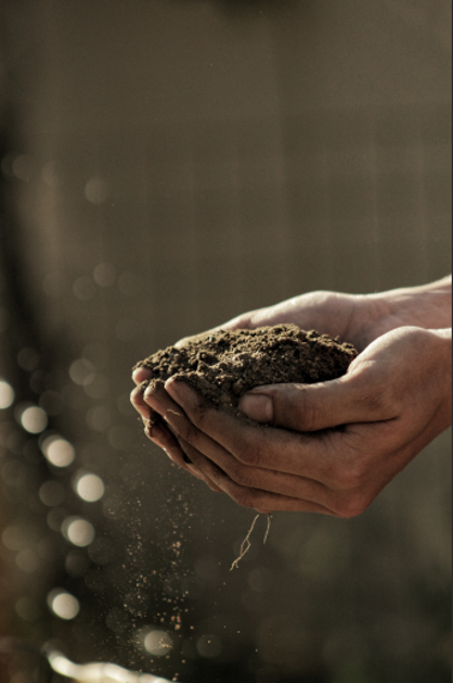 hand holding soil